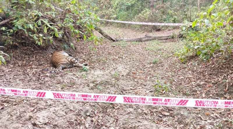 Male tiger found dead in VTR (Valmikinagar Tiger Reserve) in West Champaran