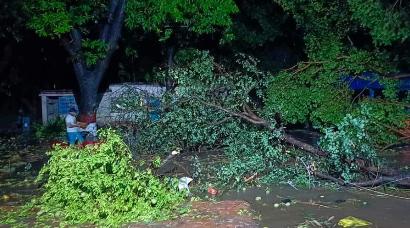 Rain and thunderstorms brought relief for the people of Bagaha in Bihar.
