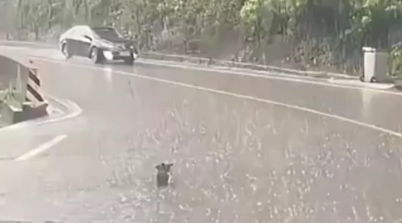 Heavy rain alert issued in North Bihar; Ganga crosses danger mark in several districts.