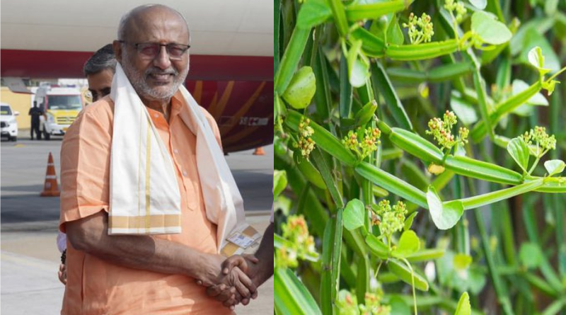 The 9th Siddha Day celebrations will be held in Chennai on Saturday.