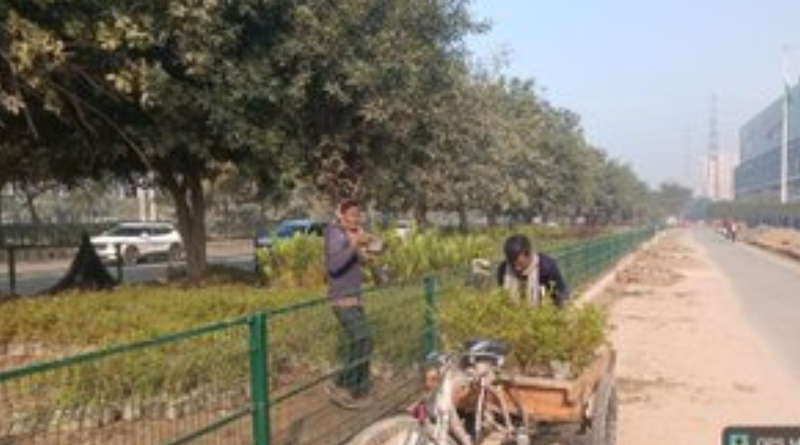 NBA disburses Rs 45.05 lakh as benefit sharing to biodiversity committees across India.