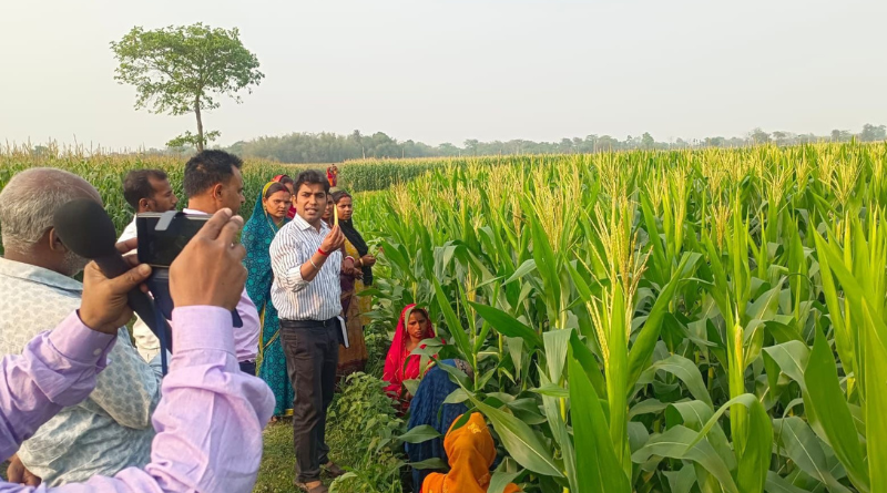 March is an excellent month in Bihar for the cultivation of vegetables and fruits.